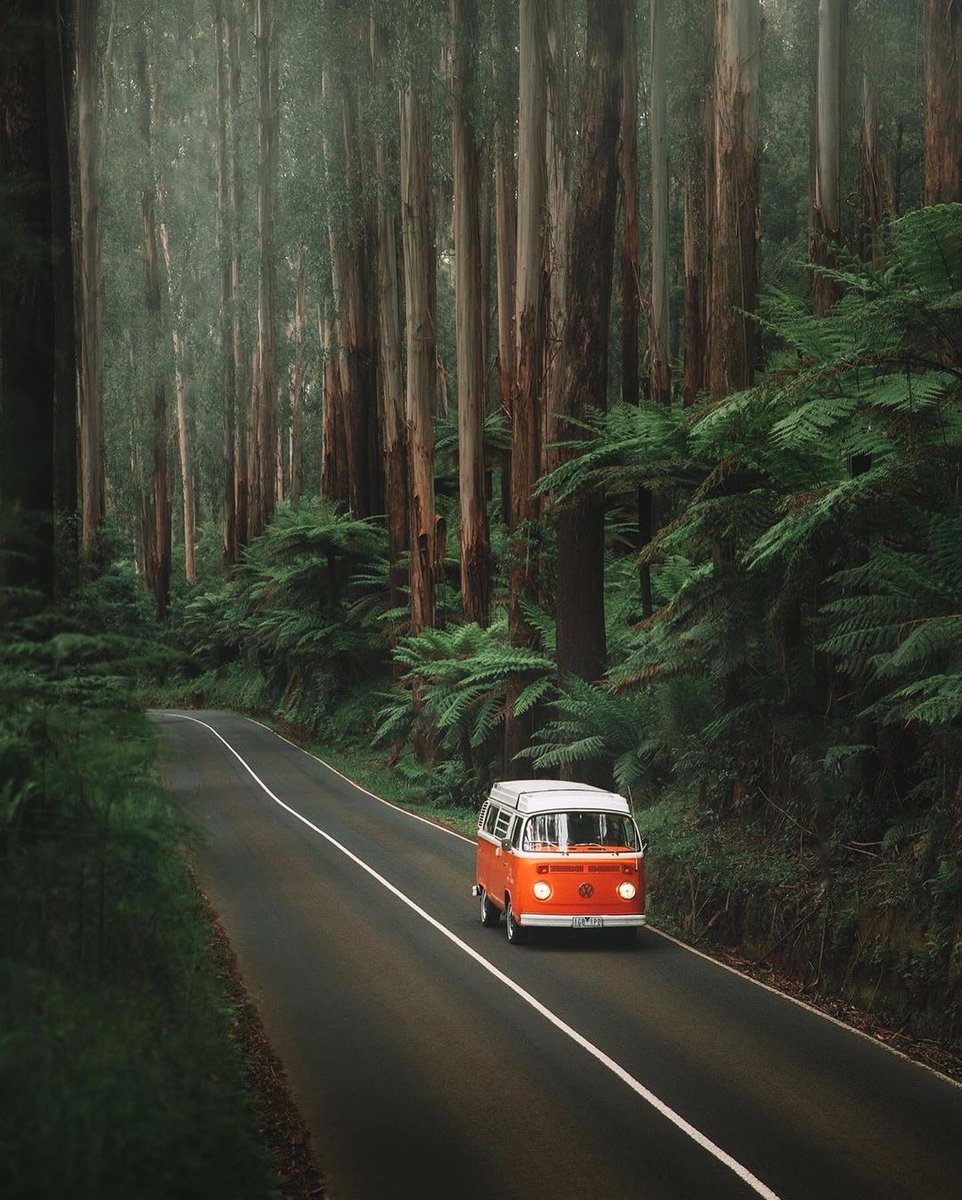 earth's tweet photo. A dreamy road trip in Australia 🌴 https://t.co/oa2XNY1PJH