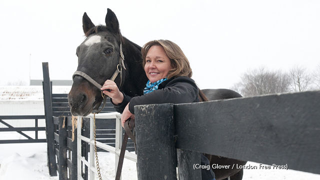 StandardbredCAN's tweet photo. On Thursday, Ann Straatman of Lucan, Ont. was elected the new Chair of Standardbred Canada ➡️ https://t.co/qtBYSrVHr0 #harnessracing https://t.co/zASJ4kOblQ