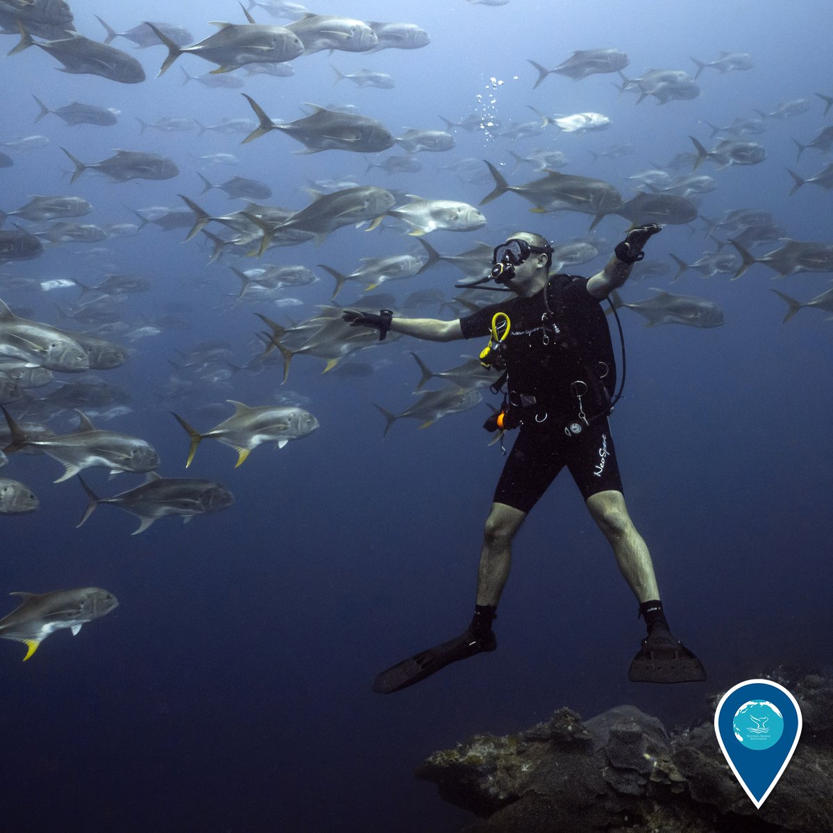 A scuba diver with his arms and legs stretched out in a star while fish pass him