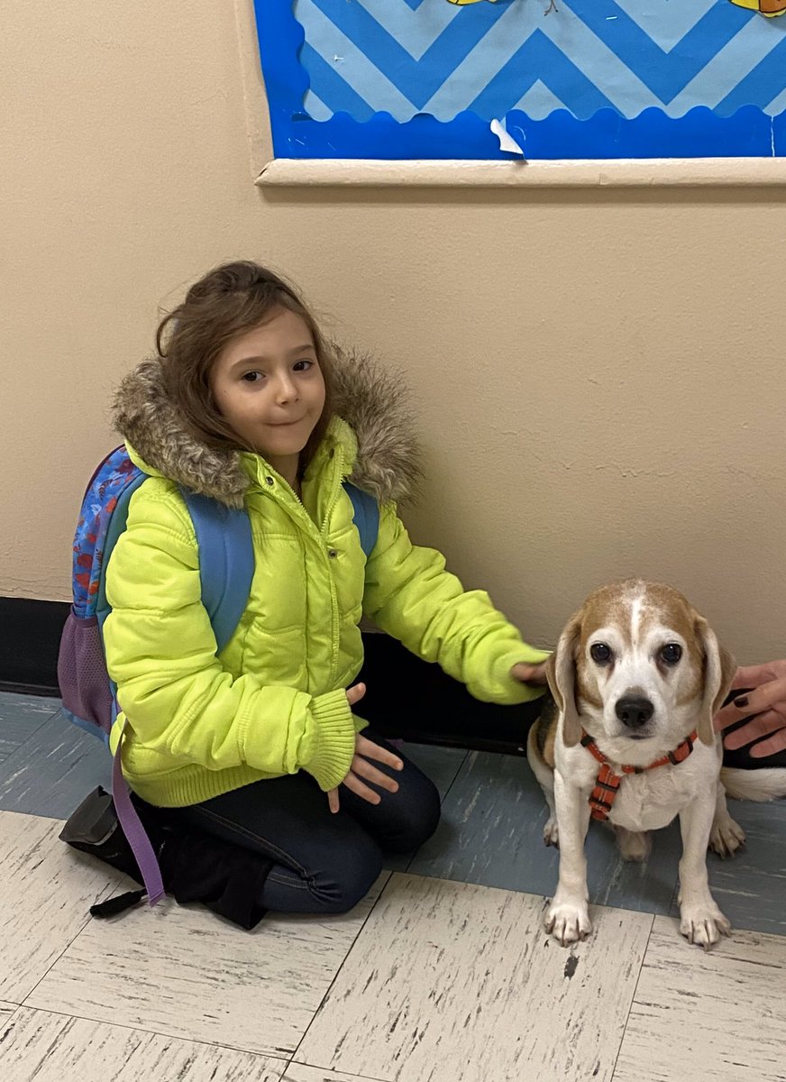 Morning line-up is the best time to welcome my friends to another awesome day at the Buck School. #lookfortheawesome #therapydogs <a href="/KerriPieper/">Kerri Pieper</a> <a href="/ValleyStreamWLB/">William L. Buck School</a> <a href="/SusanLeggett11/">Susan Leggett</a>