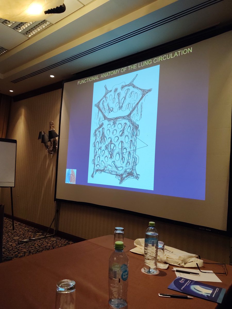PVD_geometry's tweet photo. Old school physiology at it's best. #PVRI2020 @PVRI imaging task force pre-meeting. Illustration of the sheet model of capillaries. https://t.co/YlfaCm6Pmx
