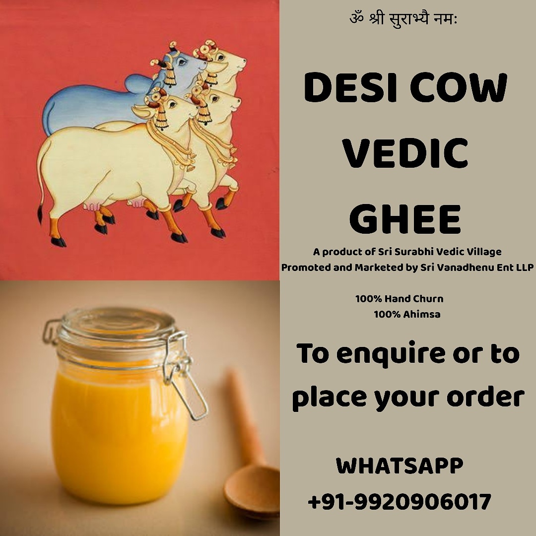 #desicowvedicghee #cows #gomatahaibharatkishaan #gheeforgoodhealth #gheeiselixir #farming #cowprotection #retail #business #nectarforthegods #nectarforall