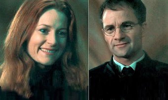 buckstoppers's tweet photo. @ursiday They arrived with the names James Bond and Moneypenny but Moneypenny didn’t stick...James did and then Lily just came and flowed naturally with it. Although it is James who is ginger...slightly confusing! https://t.co/APbUdFwy78