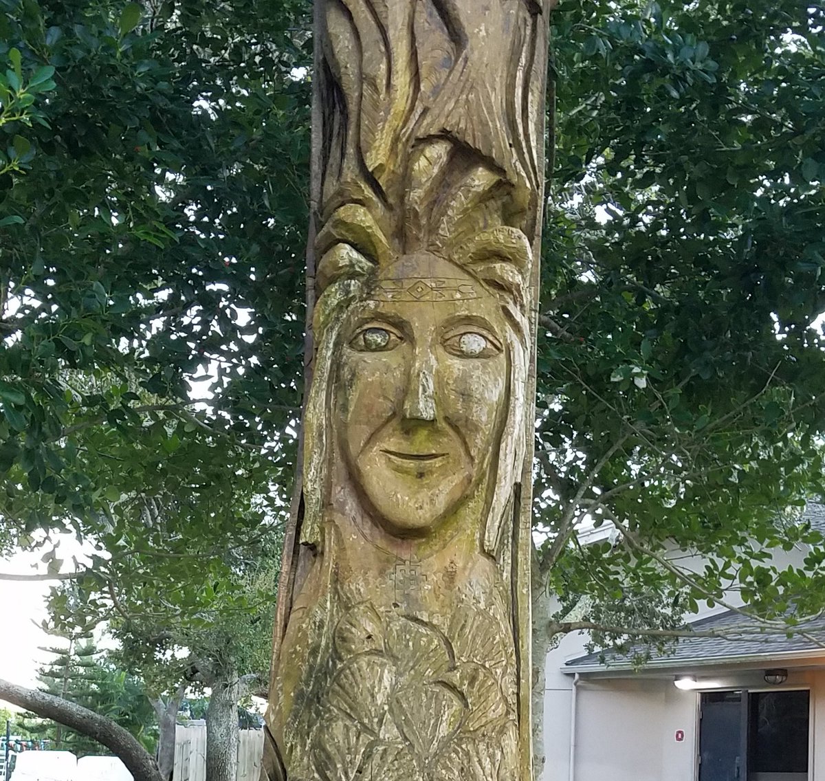 billeecox's tweet photo. #deepstatesurveillance in the forest now I cant even #takealeakinthewoods without going into some database #toomanytrees condos dont #spyonpeople https://t.co/cQuFyqXV4q