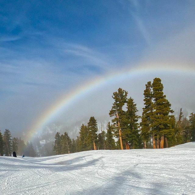 brucefriedman's tweet photo. Saw this while skiing today https://t.co/9jxwsQhf3F https://t.co/tGe6NVOqWA