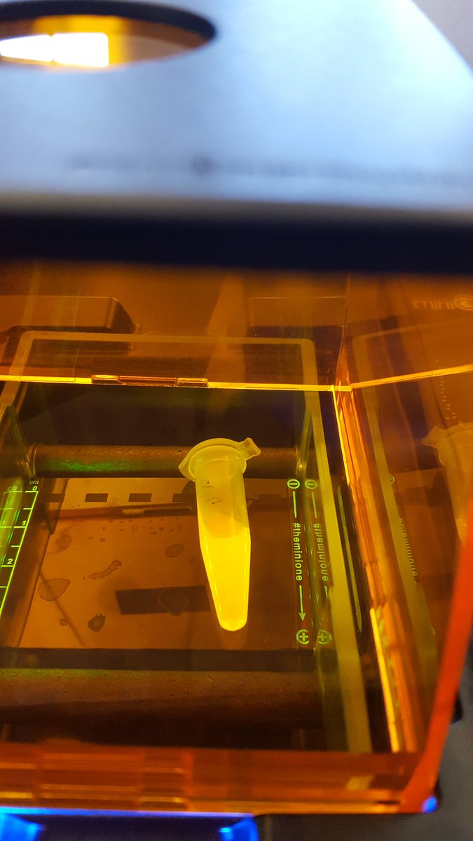 Wierzbowski_Bio's tweet photo. Biotech students successfully isolated the rfp from bacterial cells today. Just look at the glow! @harvlsoutreach @MassBioEd #bioteched
#ABEMA #MassBioEd https://t.co/Naa46X6zWy
