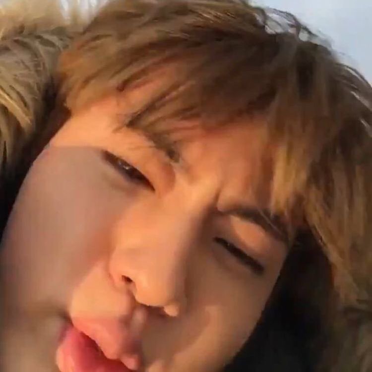 seokjinnie as hamtaro