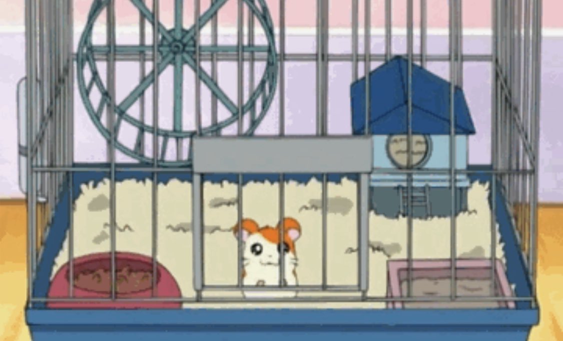 seokjinnie as hamtaro