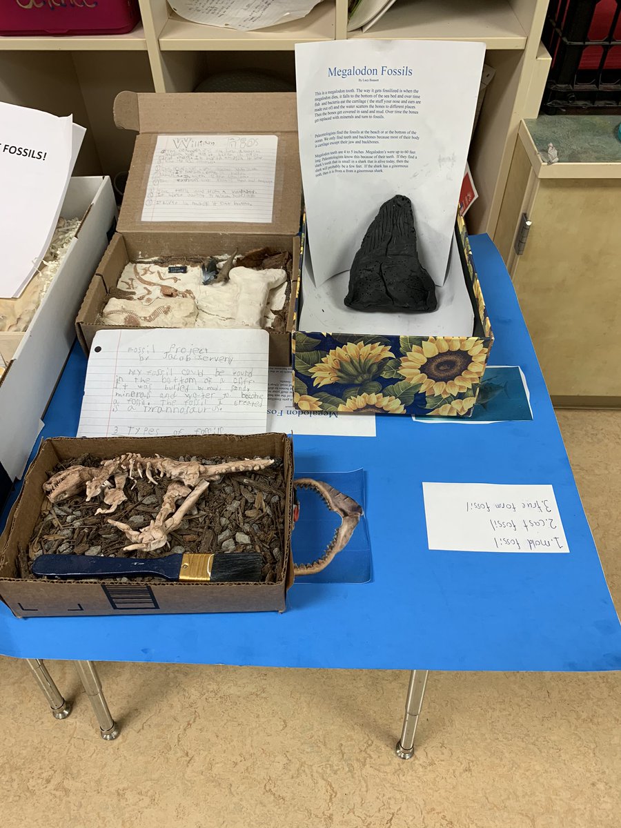 EducatorJenella's tweet photo. My scholars integrated Art and E.L Module : producing fossils. #llimitlesslearning #creativityandcollaboration @ksielken1 @LynlyCampbell @participate https://t.co/4Uu2ps0Gaj