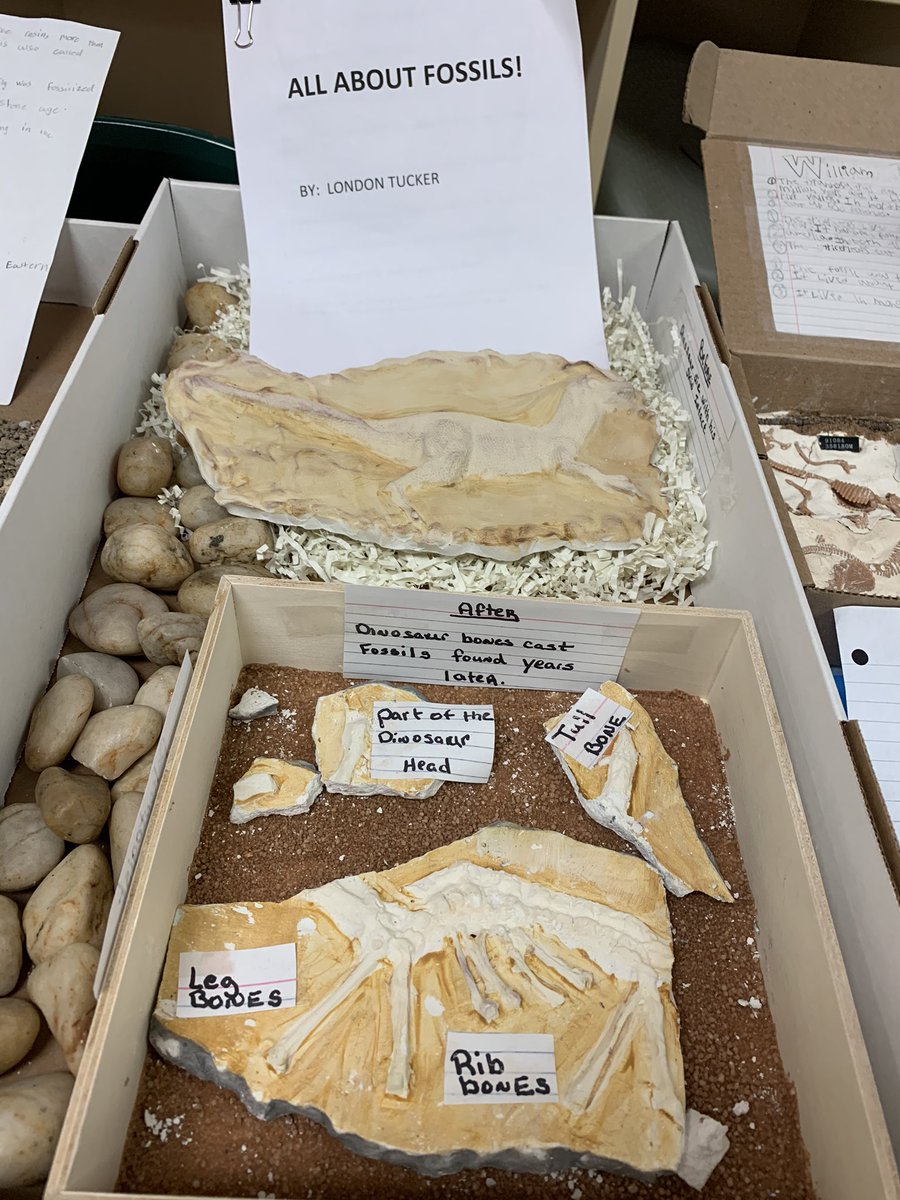 EducatorJenella's tweet photo. My scholars integrated Art and E.L Module : producing fossils. #llimitlesslearning #creativityandcollaboration @ksielken1 @LynlyCampbell @participate https://t.co/4Uu2ps0Gaj