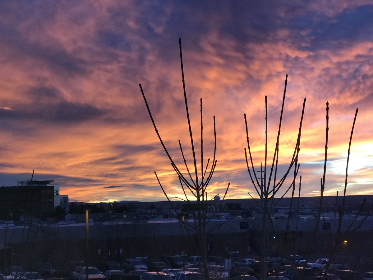 Lighter pink sky with altocumulo BABES