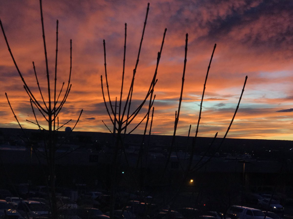Sherbet sky with pinks and orange. Foreground is desert plants