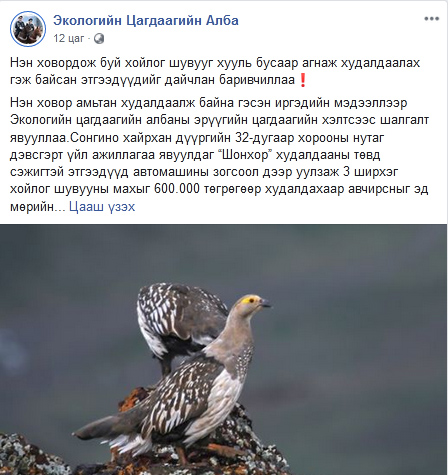haangal's tweet photo. Хойлогны махыг хар зах дээр 600000-аар худалддаг юм байна. Зарахаасаа өмнө хатаах ёстойг бас хаана зарах боломжтойг ч Экологийн цагдаа заасан байх юм. Дараагийн хичээл юу вэ. Надад ирвэсийн ханш сонирхолтой байна. Арьс нь 5 сая хүрчихдэг бол алс нь нэгийг унагах бодол байна https://t.co/Xcf2x70vbt