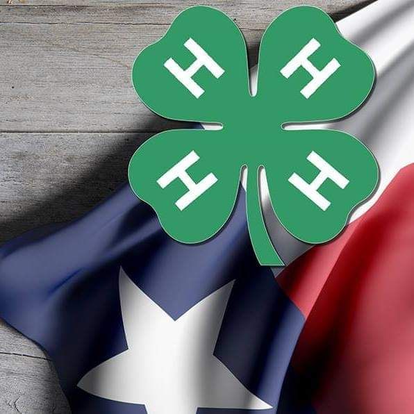 CampTyler1945's tweet photo. Thank you Thursday!
Shout out to @Texas4H for spending last weekend at our shooting range. We hope you all had an excellent time!
#camptyler #texas4h #shootingrange https://t.co/j0eB2E2Xn0