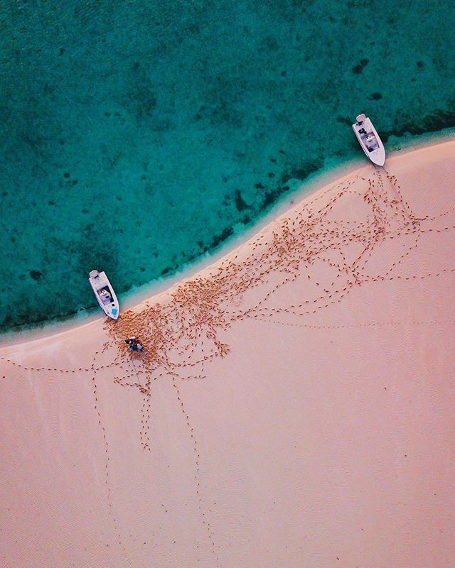 BadfishTv's tweet photo. Party next door https://t.co/I7Dzqh8tAG https://t.co/FSrjiWbG98