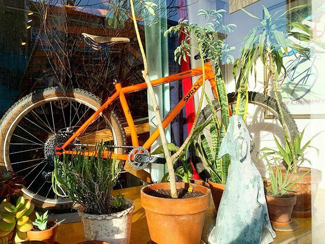 boxdogbikes tweet media