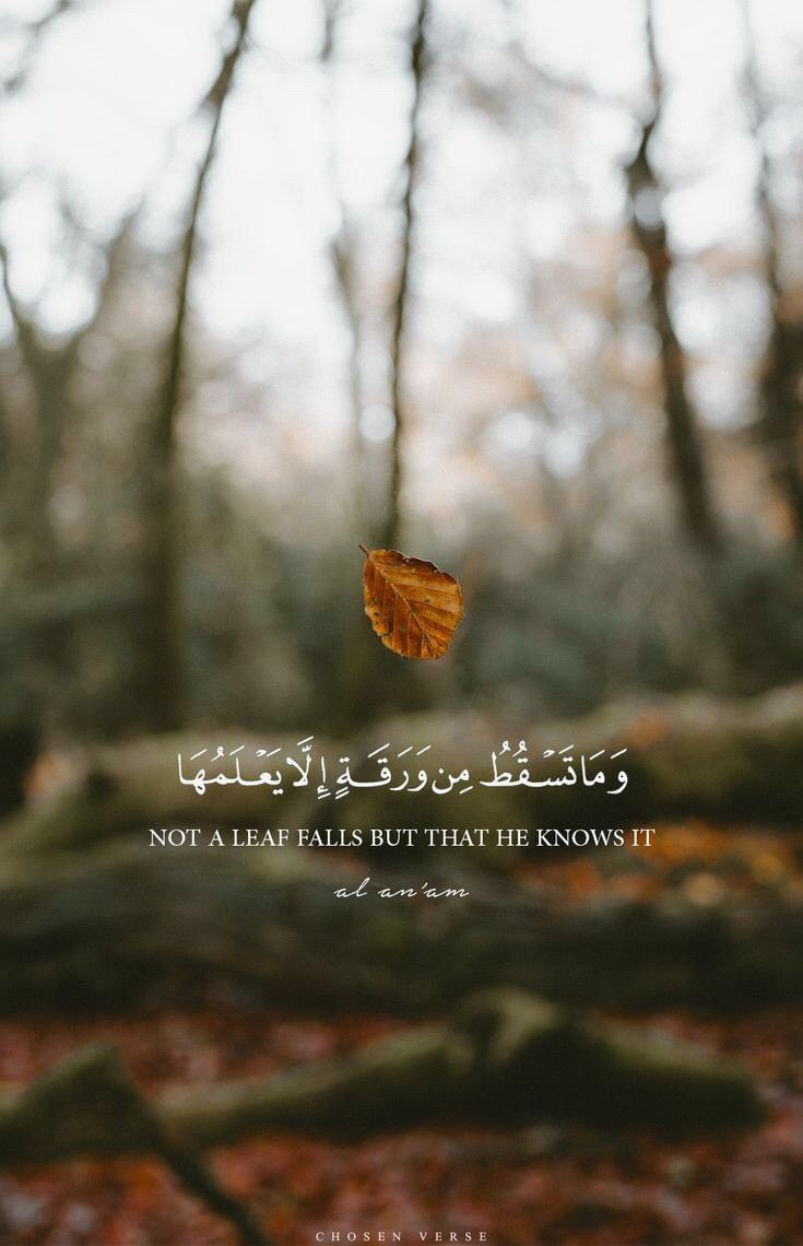 جمعة مباركة 💜✨