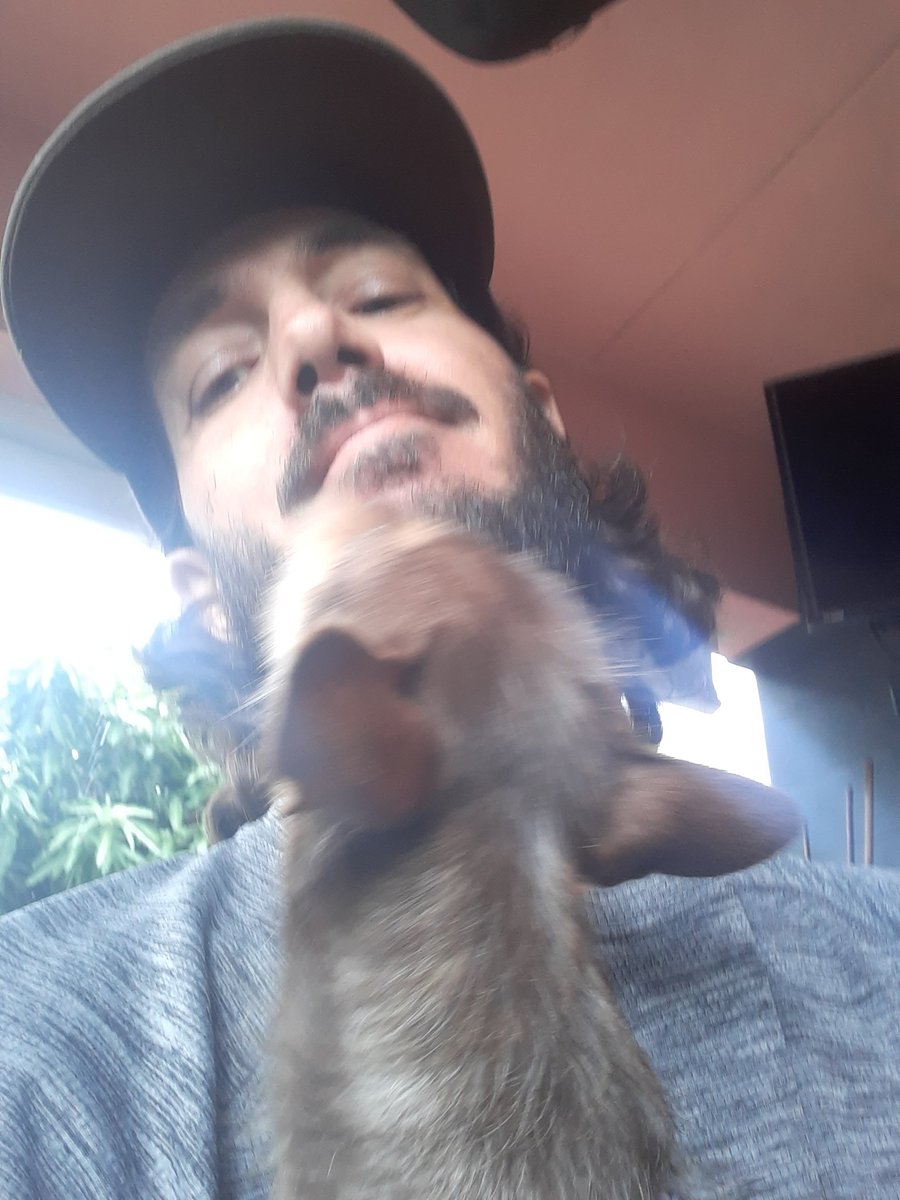 900ddot009's tweet image. she speak my language #samebreed