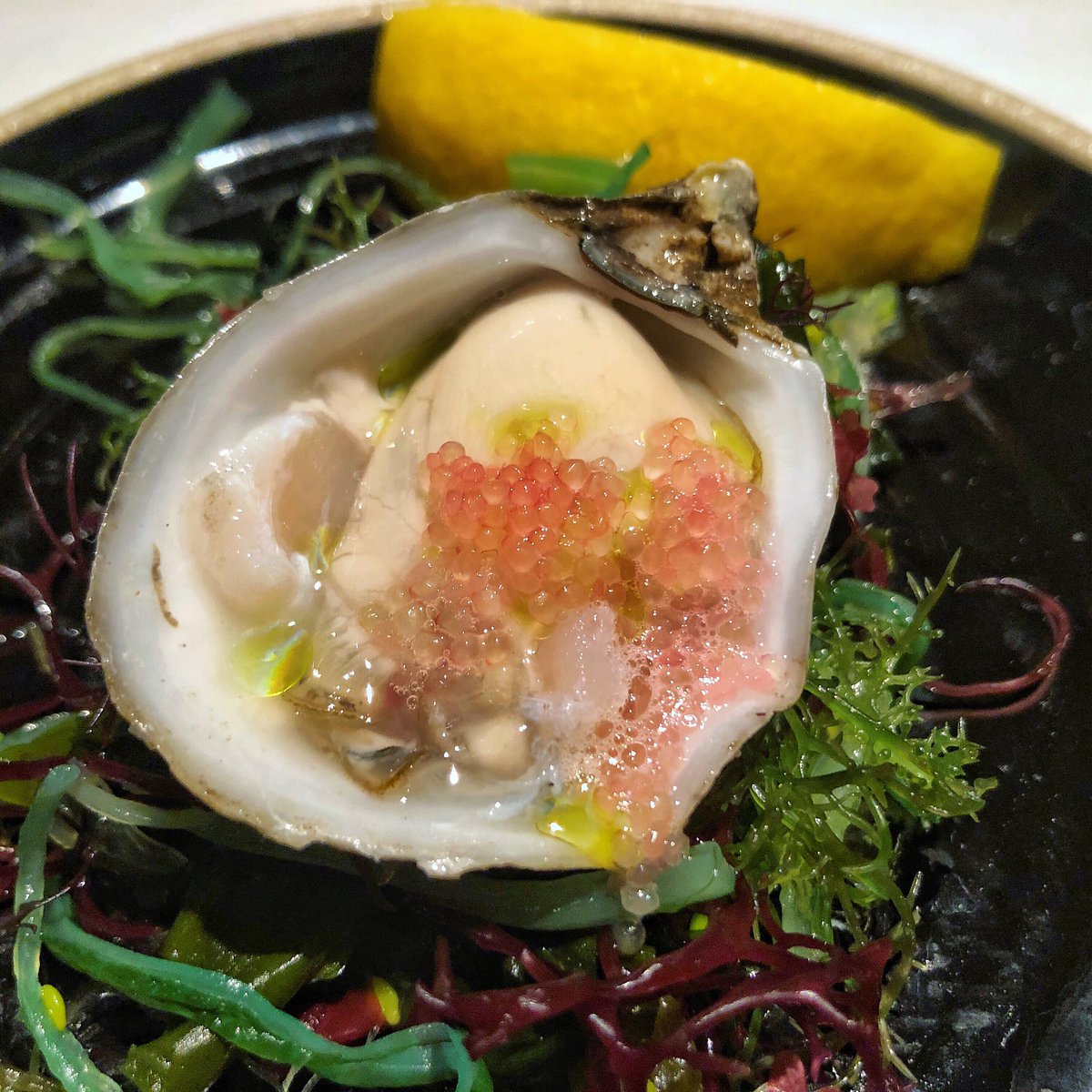 Chef’s choice #oyster on the menu right now is the #Shigoku, a gigas from Washington. To highlight this delicious little beauty from the #rawbar, we add chive oil and finger lime to it for you to enjoy!