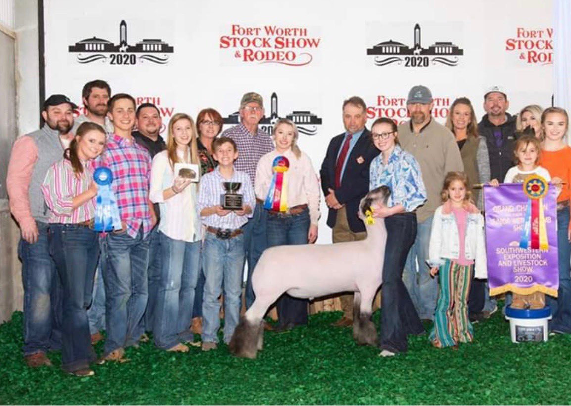 Grand Champion Lamb
Ft Worth Stock Show
Shown by Madelynn Adams
Bred by Begalka Livestock 
Sired by White Chocolate