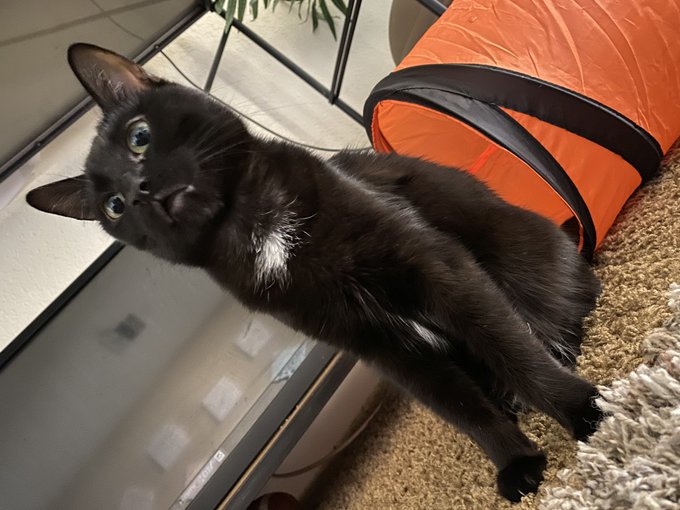 Marnie Piper https://t.co/hcvQwiHMeP<a href="/tag/depressionfeelslike"class="tags"><span>#depressionfeelslike</span></a>