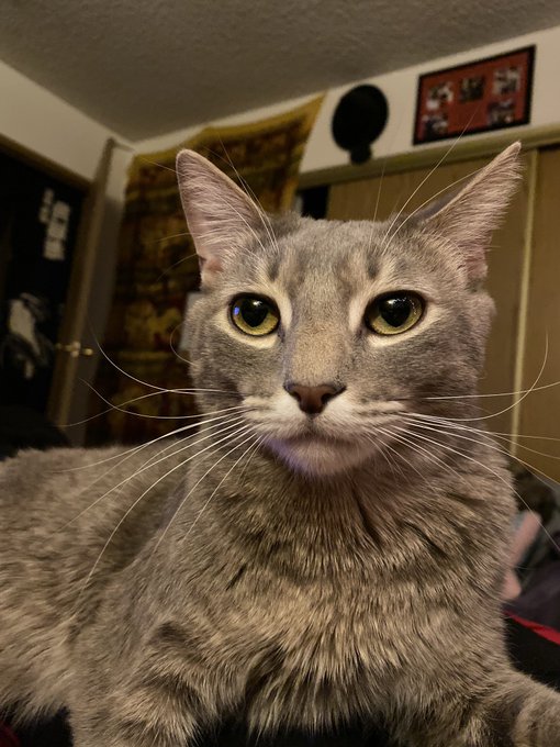 Cassius Clay. (Cash) https://t.co/j9AkUeUDFx