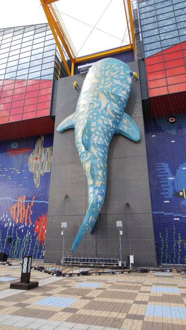 海遊館のtwitterイラスト検索結果 古い順 海遊館のtwitterイラスト検索結果 古い順