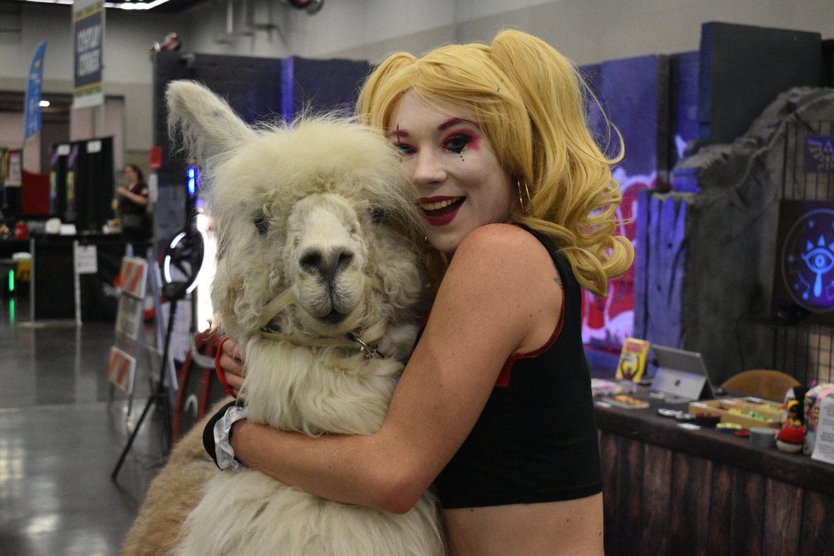 MsArielKnox's tweet photo. #WizardWorld #WizardWorldPortland #PooliesAngels #cosplay #llamas #llama #imwiththellama https://t.co/Uj0q98nljV