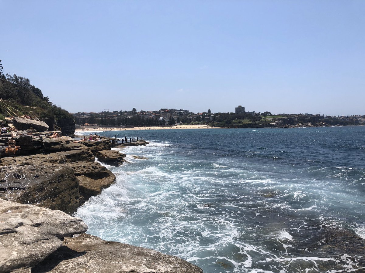 Maria Cabrera tweet media