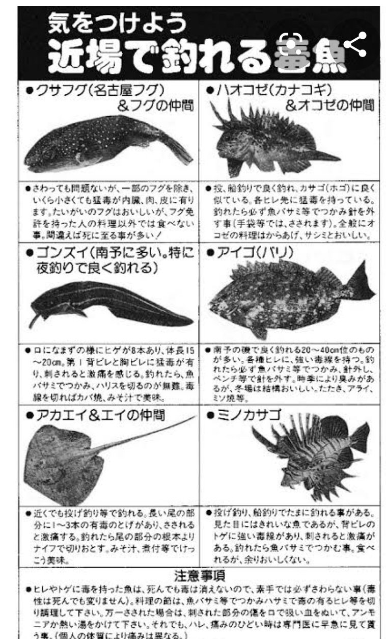 流浪 七夜 Kyo R0716 Azur Qbfox Hirorin0015 少し漁ってきたよ っ 最後の奴が少し意外 T Co Gr3lp7u6ft Twitter