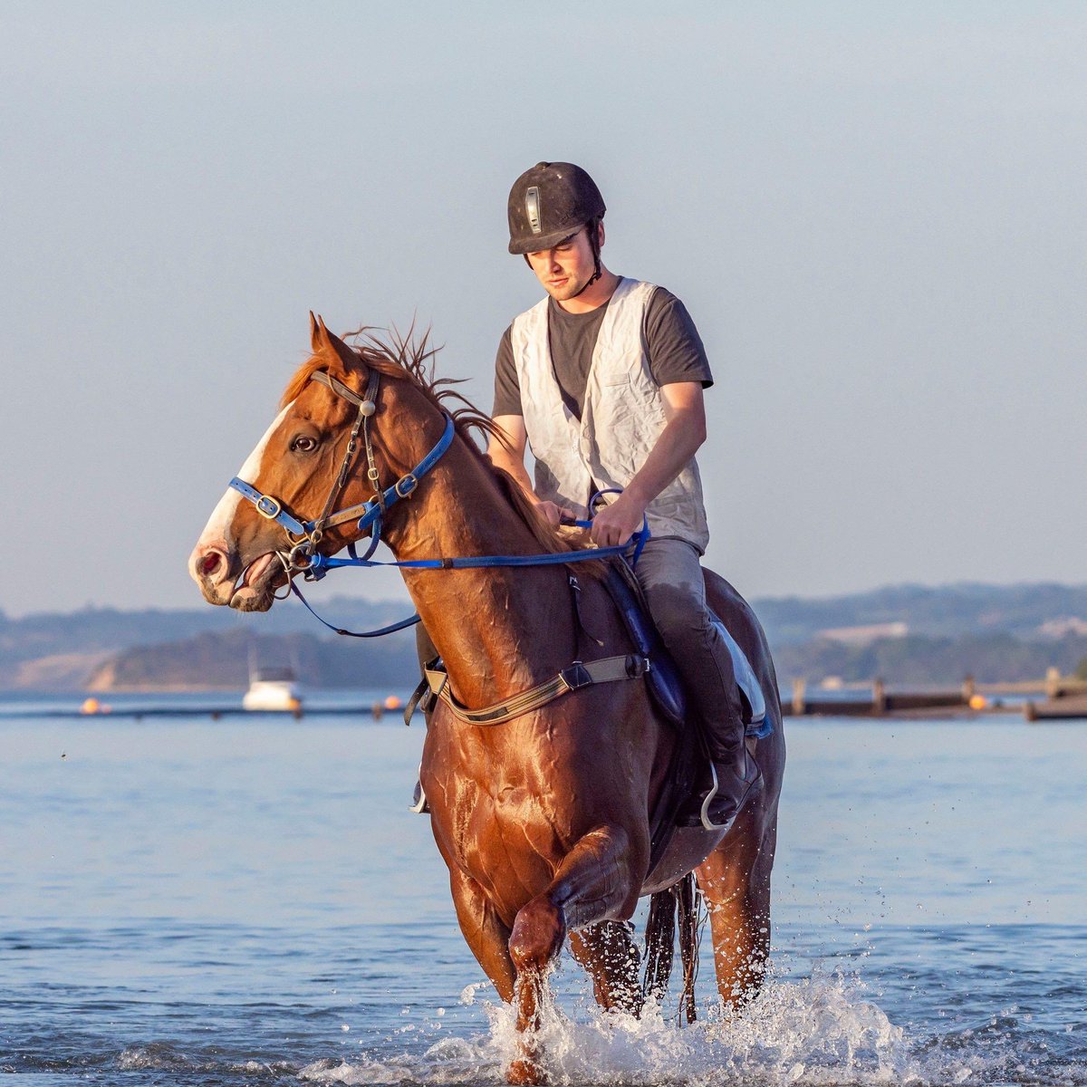 Heart_Puissance's tweet photo. Have a look at Dave @cmaherracing on my back for my swim today. Off to Sandown for a Gallop Tuesday preparing for @allstarmile #ontrackforallstar #allstarmile #vote4me https://t.co/klg5oTqCiU https://t.co/D3MWgge6jg