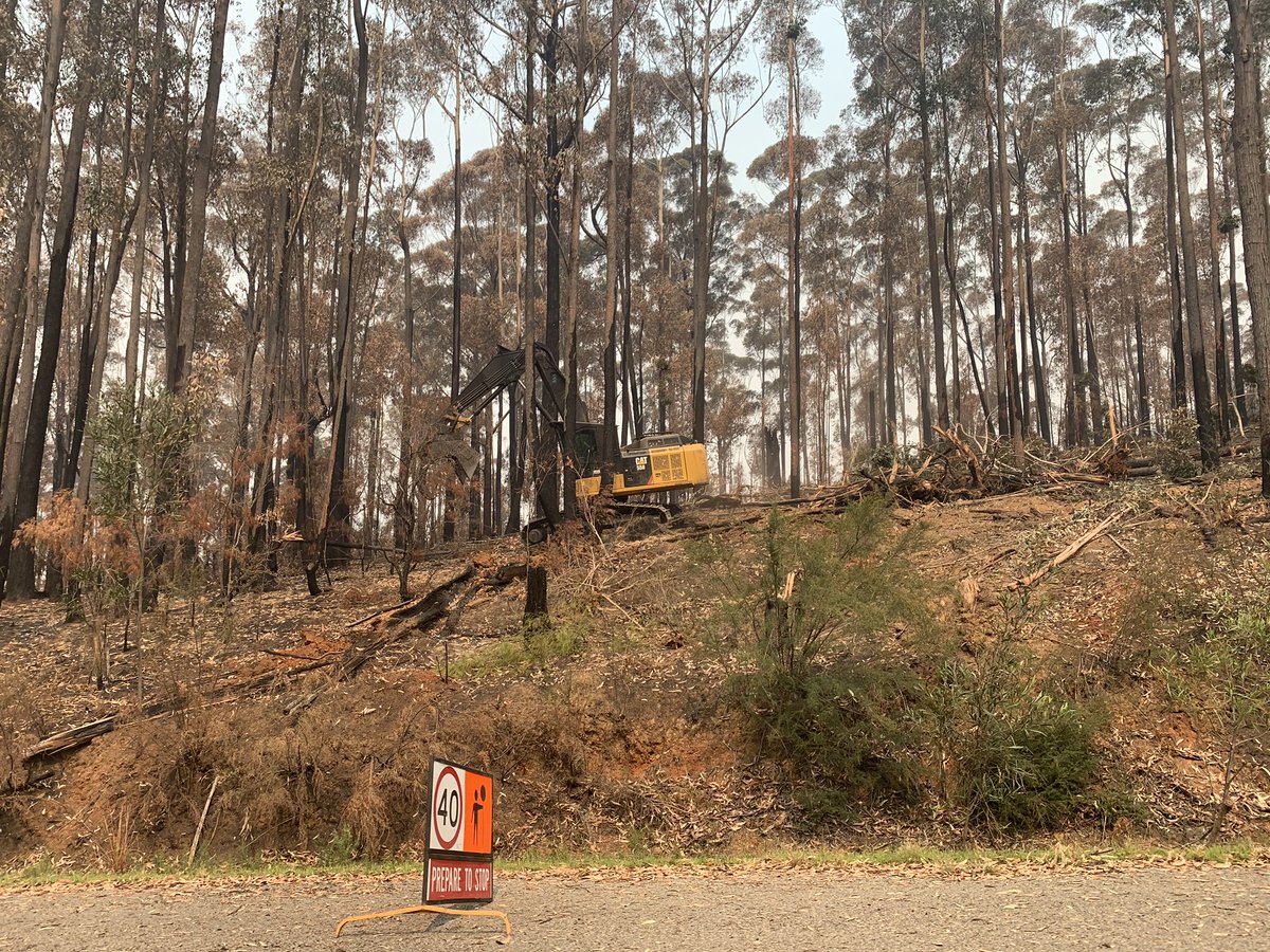 CeoGEGAC's tweet photo. Thanks to Tammy at Moogji and Aunty Aileen for taking the time out to talk to me about what has happened and is going on east of the snowy. The drive was heartbreaking and along with lots of people who will need healing it is clear how much healing the land needs. https://t.co/d8MGAOEJzD