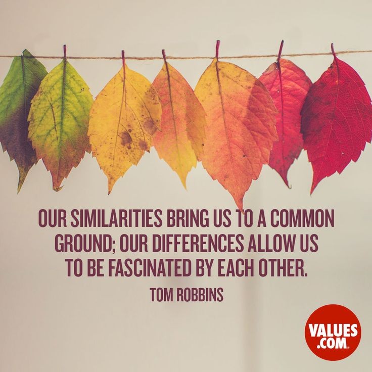 OfficeShankara1's tweet photo. When the world understands and respects that, the world becomes a celebration platform. 
Shankaracharya Parishad works incessantly to unite people as one world. 
वसुधैव कुटुंबकम्। https://t.co/Iu6pQJR1rY