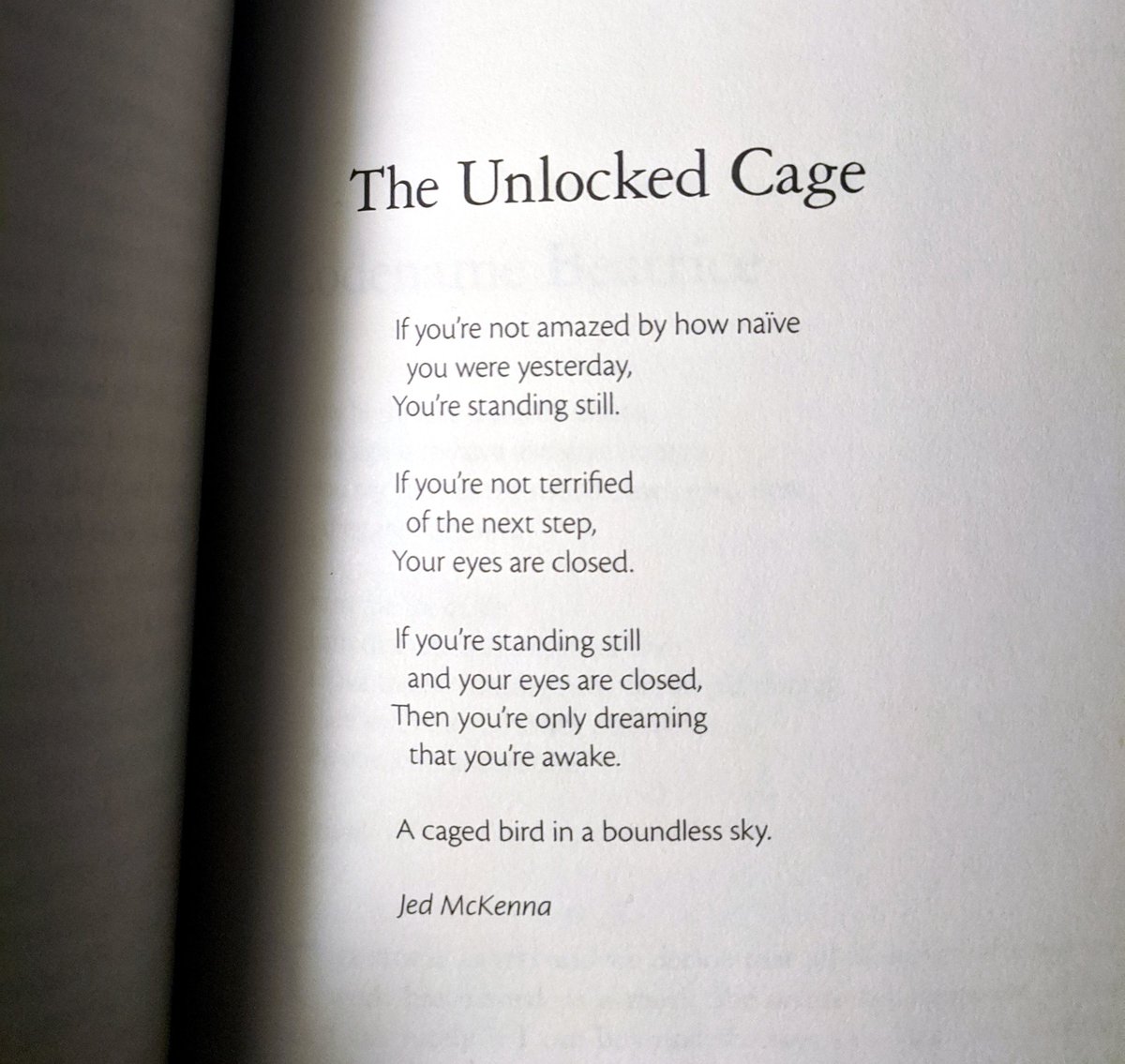 The Unlocked Cage

If you're not amazed by how naïve you were yesterday, You're standing still.

If you're not terrified of the next step, Your eyes are closed.

If you're standing still and your eyes are closed, Then you're only dreaming that you're awake.

A caged bird in a boundless sky.

Jed McKenna