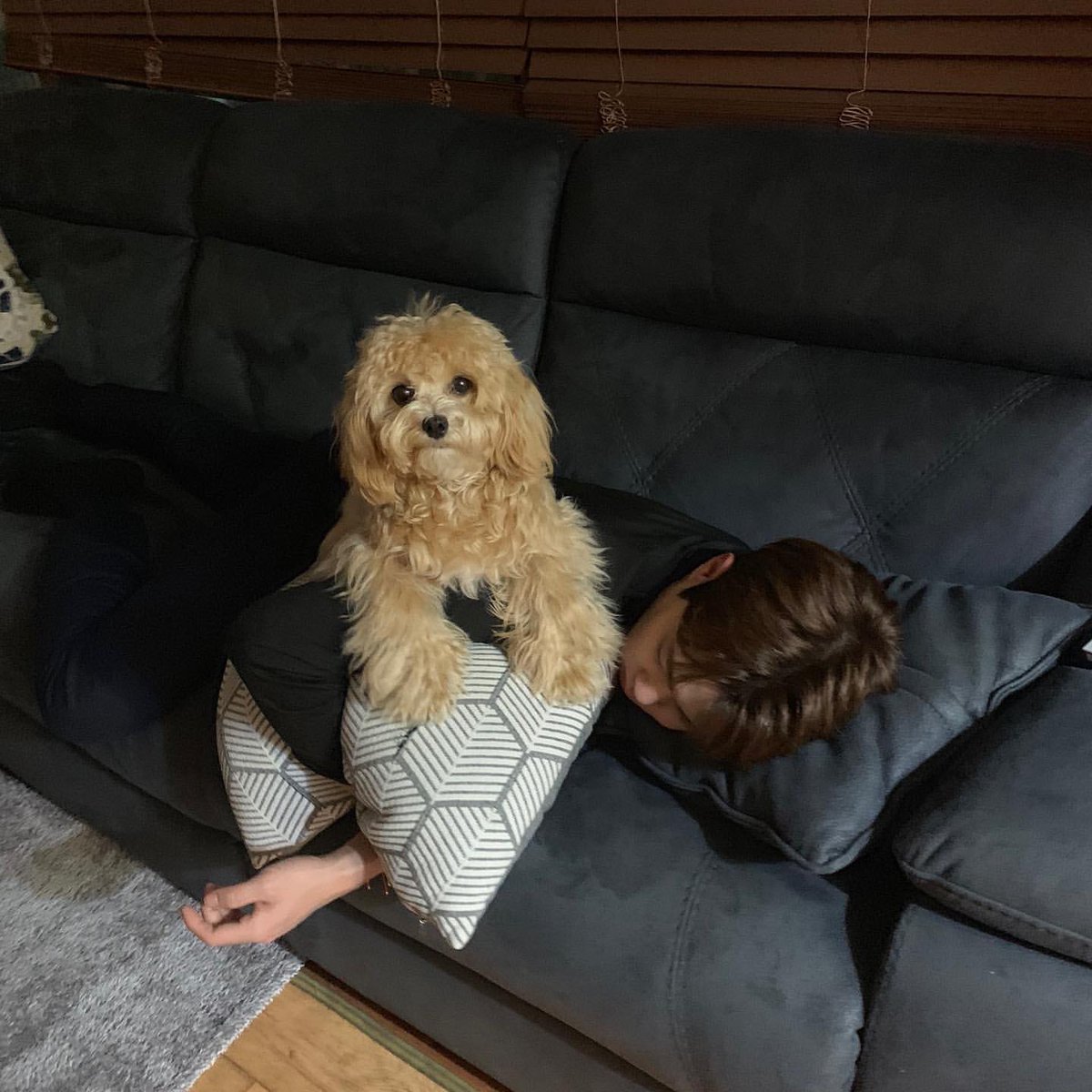 KKYUA_bkfan's tweet photo. 울공주 울엘이....따듯해ㅠㅠㅠㅠㅠㅠㅠ https://t.co/ITvvsg2bNS