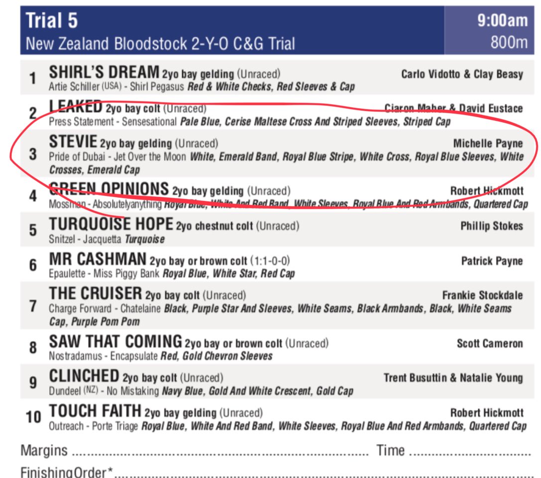 stevejoseph69's tweet photo. Wonder who this horse is named after .. 🤔
Trials Cranbourne next week.
#moviestar #legend #defnotme @mj_payne #strapperoftheyear
@RadioTABAus https://t.co/4SFpz08zZX