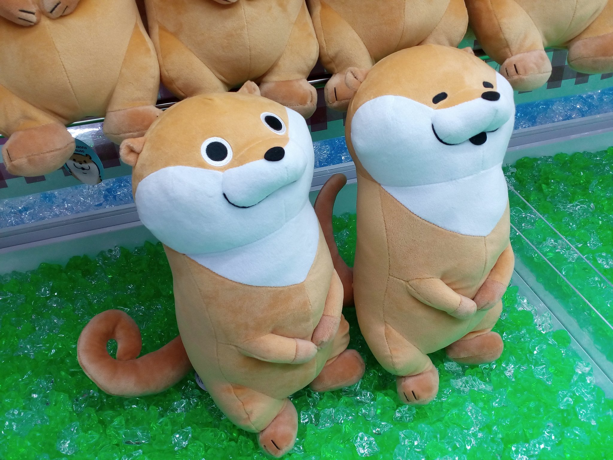 可愛い嘘のカワウソぬいぐるみ 2 Round1限定 Ufsaaqyext おもちゃ ホビー グッズ Raom Org Ar
