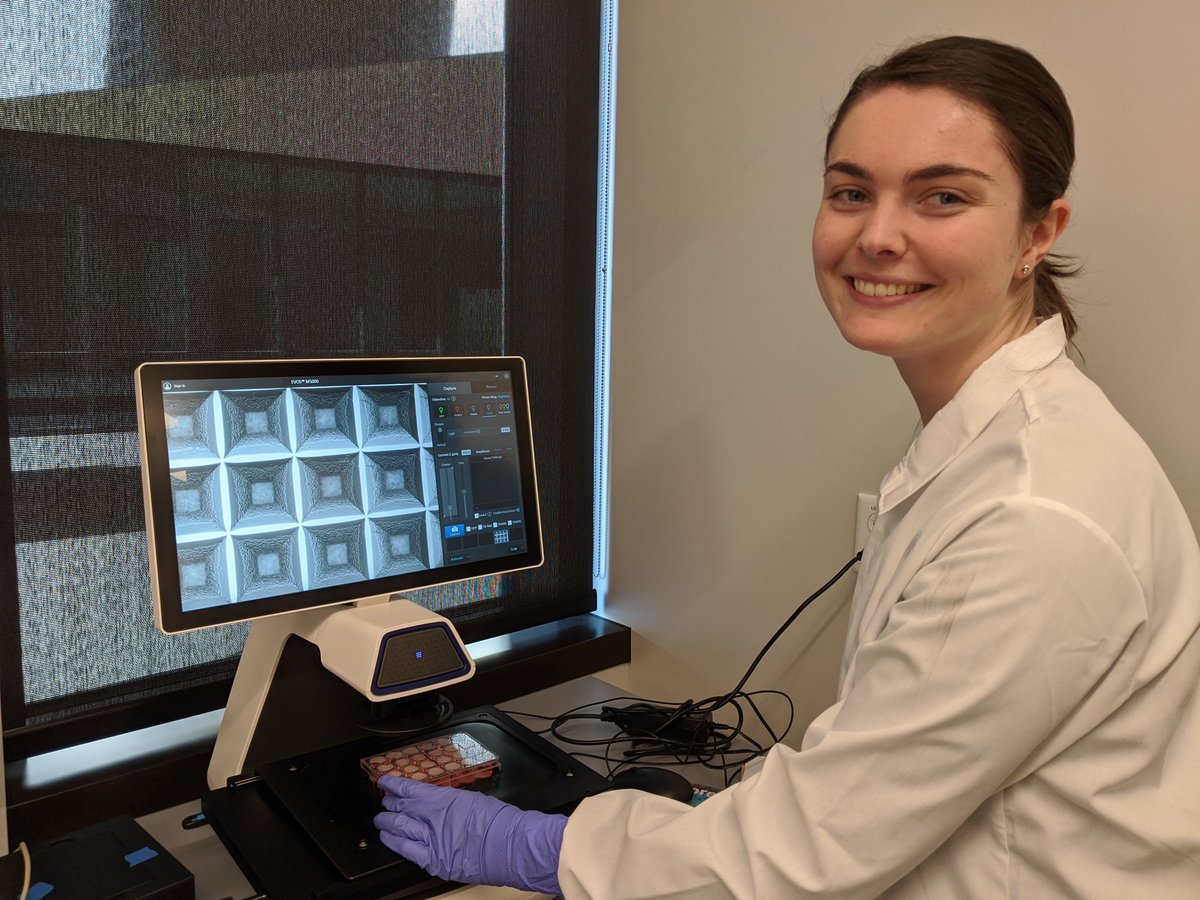 NicoleFGreen's tweet photo. Getting some great hands-on experience growing brain organoids at #2020SHBOW from @PascaStanford @fikribirey @jimena_andersen @SeJinYoon3 @myym_yuki and many more! https://t.co/e3E2NvPZCK