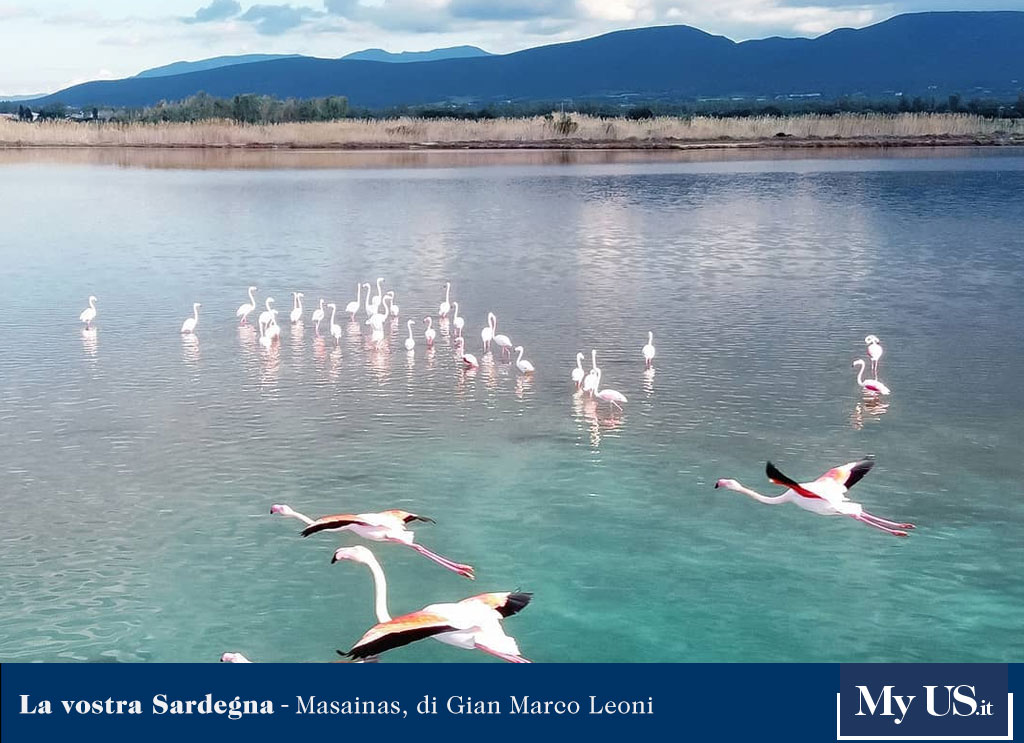 UnioneSarda's tweet photo. #LaVostraSardegna - Cartolina dallo stagno di #IsSolinas a #Masainas: #buongiorno e buon venerdì #31gennaio a tutti voi! https://t.co/4ozd3i1AOJ