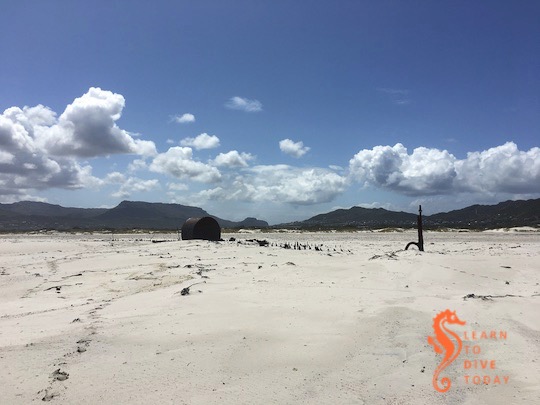 Newsletter: Washed up learntodivetoday.co.za/blog/2020/01/3…