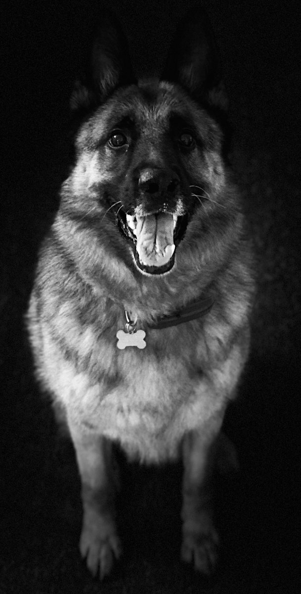 Thank you to all who have donated so far to the @lockuplockin for <a href="/WMPHistory/">West Midlands Police Museum</a> and <a href="/UK_COPS/">COPS</a>!

If you can spare just a few pence, or even a pound, please do. Two great causes. If I raise enough I’m getting my legs waxed live on here (please pray for me!)

chuffed.org/fundraiser/loc…