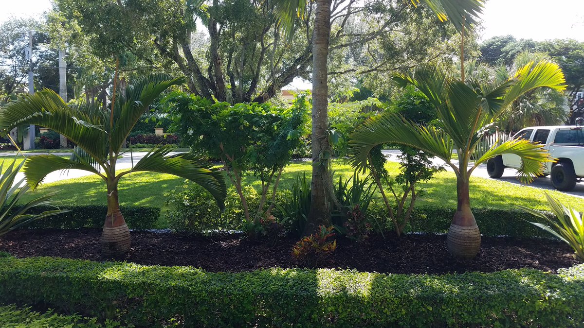 RL SOLUTIONS where your dreams gardens come true by Rupert Landscaping service. Call or write to us because we have the solutions for you. Follow us on Facebook. Instagram and Twitter. Good bless you🙏🏻🙏🏻🙏🏻