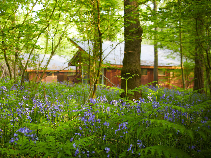 exploreglos's tweet photo. ENDS TONIGHT!! #COMPETITION 👀😀--Get back to #nature with a family #cabinbreak with @forestholidays. Spend relaxing evenings sipping bubbles in a #hottub under the stars in the middle of the Forest.
https://t.co/Iilsc6YA61
#familyfun #hottub #cabins #outdoors #exploreglos https://t.co/eBYwaVp3CI