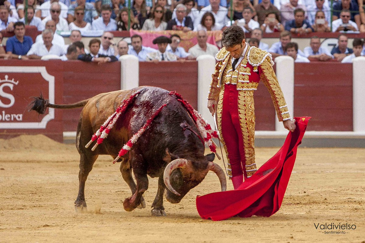 Veremos este año a <a href="/jtomaselflaco/">JTomaselflaco de Galapagar</a> ...
Sería bonito volverte a disfrutar...
#toros #tauromaquia #sialostoros 
📸VALDIVIELSO <a href="/SentimientoTaur/">Sentimiento Taurino</a>