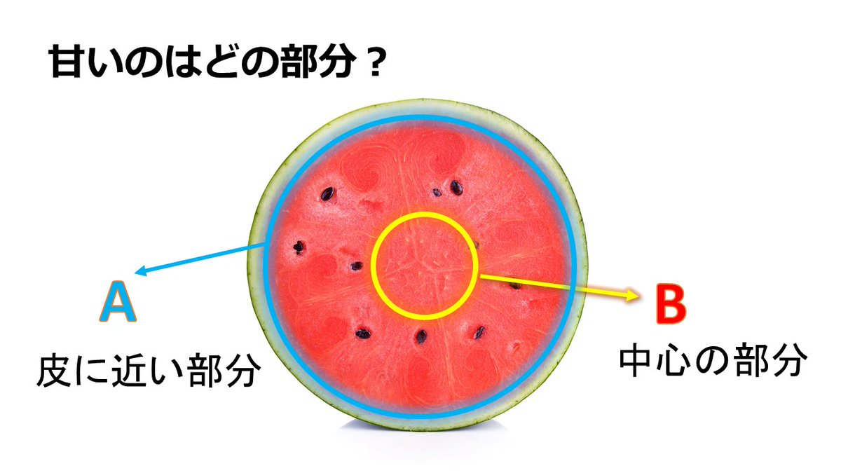 みなとのごちそう野菜 野菜 果物のクイズを100問作りました 問題のサンプルをちょっとお見せします 園芸用品のハイポネックスさんのホームページ T Co Bhnr6zlkct をクリックして頂き Lineバナーでお友だち追加すると メインメニュー の