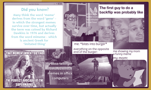 Meme banks is number 4 on our list of trends. #GIFs &amp; #memes are becoming more common &amp; our analysts estimate that they make up to 70% of the comments on some threads. Automated #sentimentanalysis would not have read this accurately, but nothing gets past our meme loving team!
