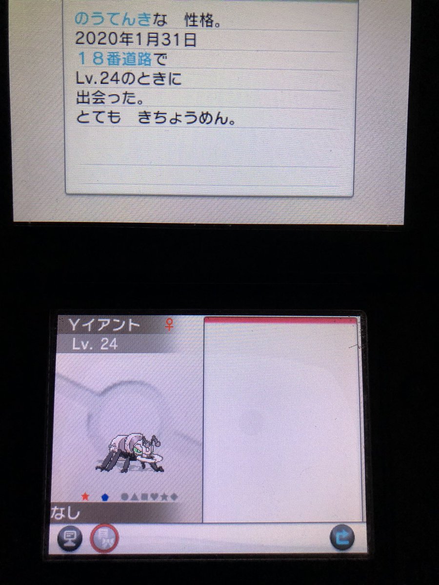 群れバトル