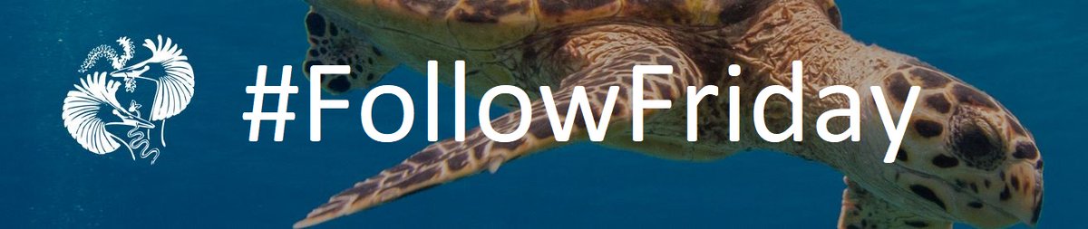 Banner with the ASAB logo and #FollowFriday