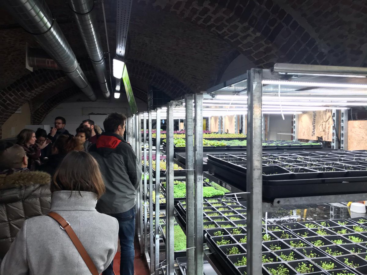 EstHorticole's tweet photo. @EstHorticole était à Bruxelles à #GROOFproject
Coaching des systèmes de production des 10 futures fermes urbaines en toiture et sous serre! Et visite des #ChampignonsdeBruxellesetEclo.
@astredhor #InterregNWE @AgroBioTech #IFSB @JardinsdeGally @BIGHFARMING @yncrea @CueilletteU https://t.co/MLWMOtRwlE