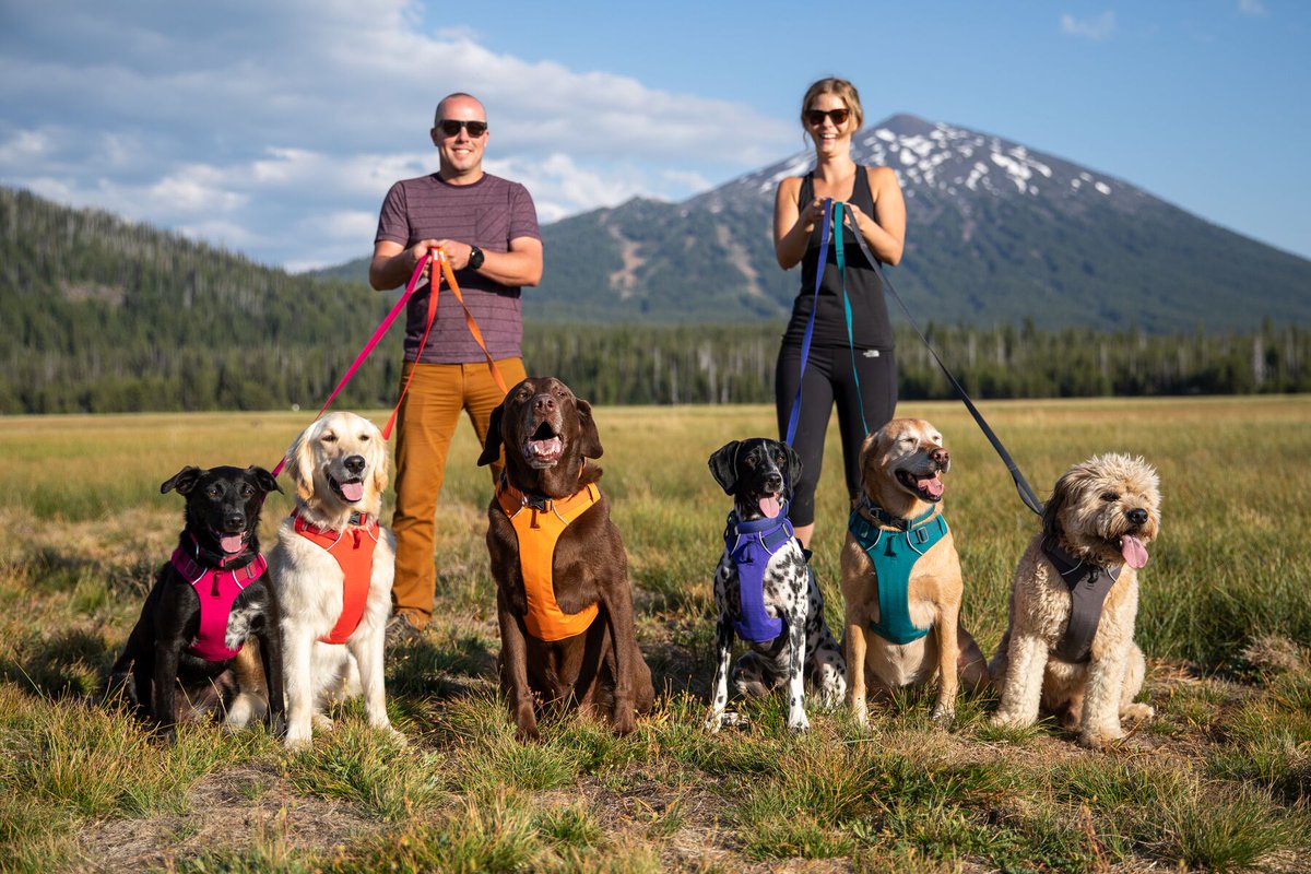 RuffwearUK's tweet photo. The new Front Range family launches today! The collection now includes a new matching collar π₯³
Visit our site to find to discover more new gear: https://t.co/4C4bUzVv4L
#FridayFeeling #FridayThoughts #FrontRangeAdventure https://t.co/SBb2k4ooeF